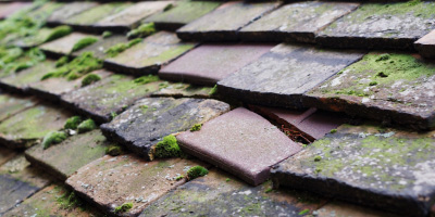 Pwll roof repair costs